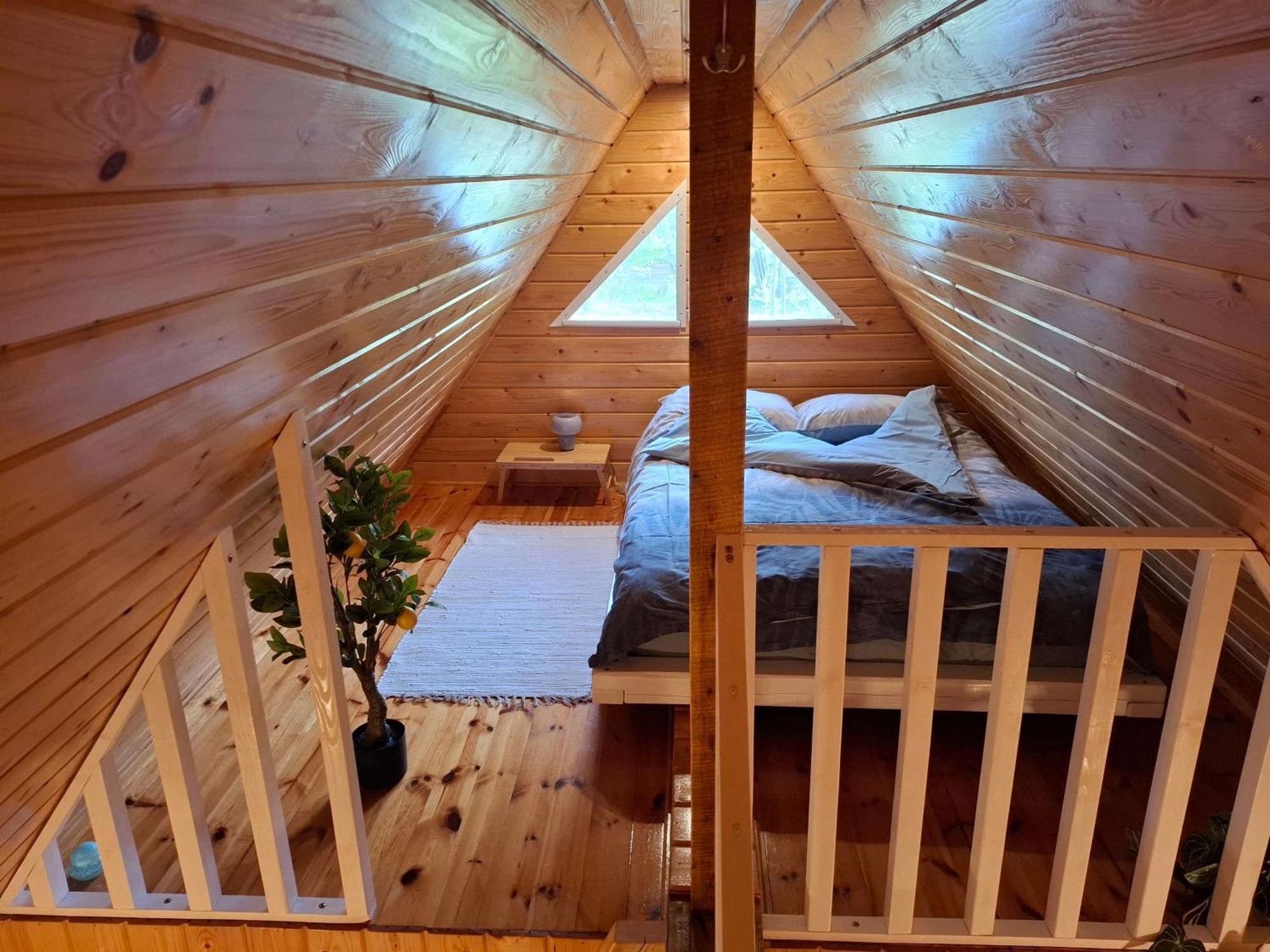 Hotel Pie Andra Pitraga Pitrags Pokoj fotografie