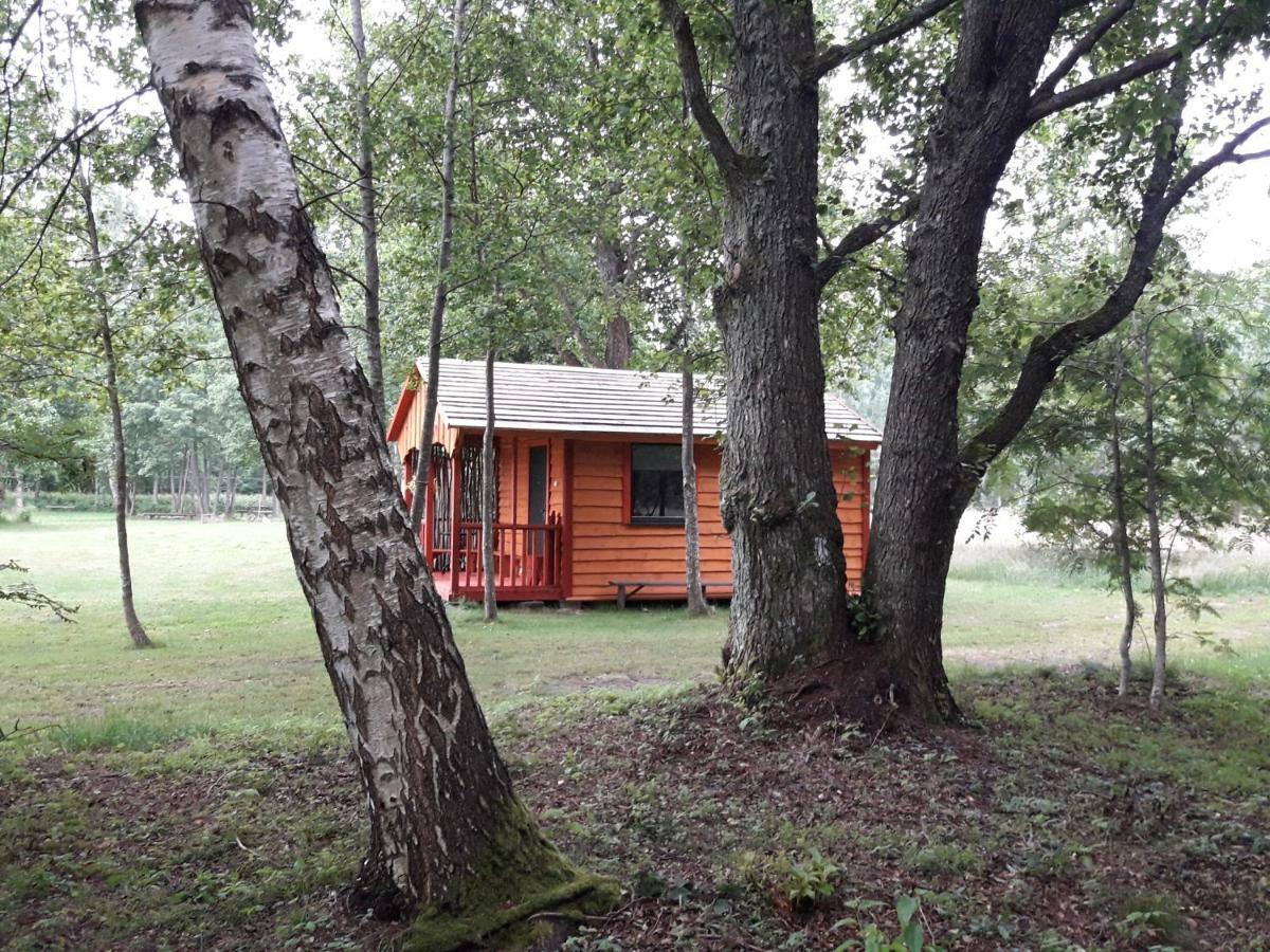 Hotel Pie Andra Pitraga Pitrags Exteriér fotografie