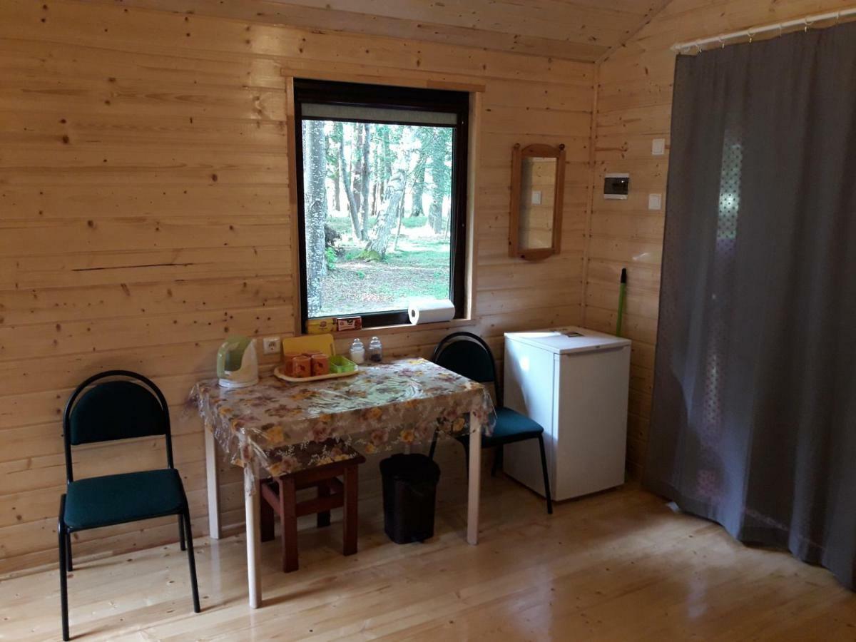 Hotel Pie Andra Pitraga Pitrags Exteriér fotografie
